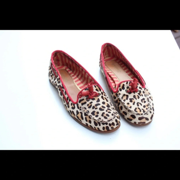 Sperry flats - Picture 4 of 14